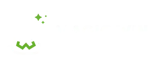 Slot Madness Magicwin